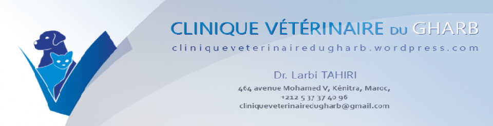 Clinique Vétérinaire du Gharb